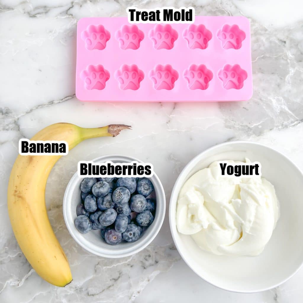 Silicone paw print mold, banana, blueberries, and yogurt. 