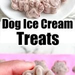 Plate of dog print ice cream treats.