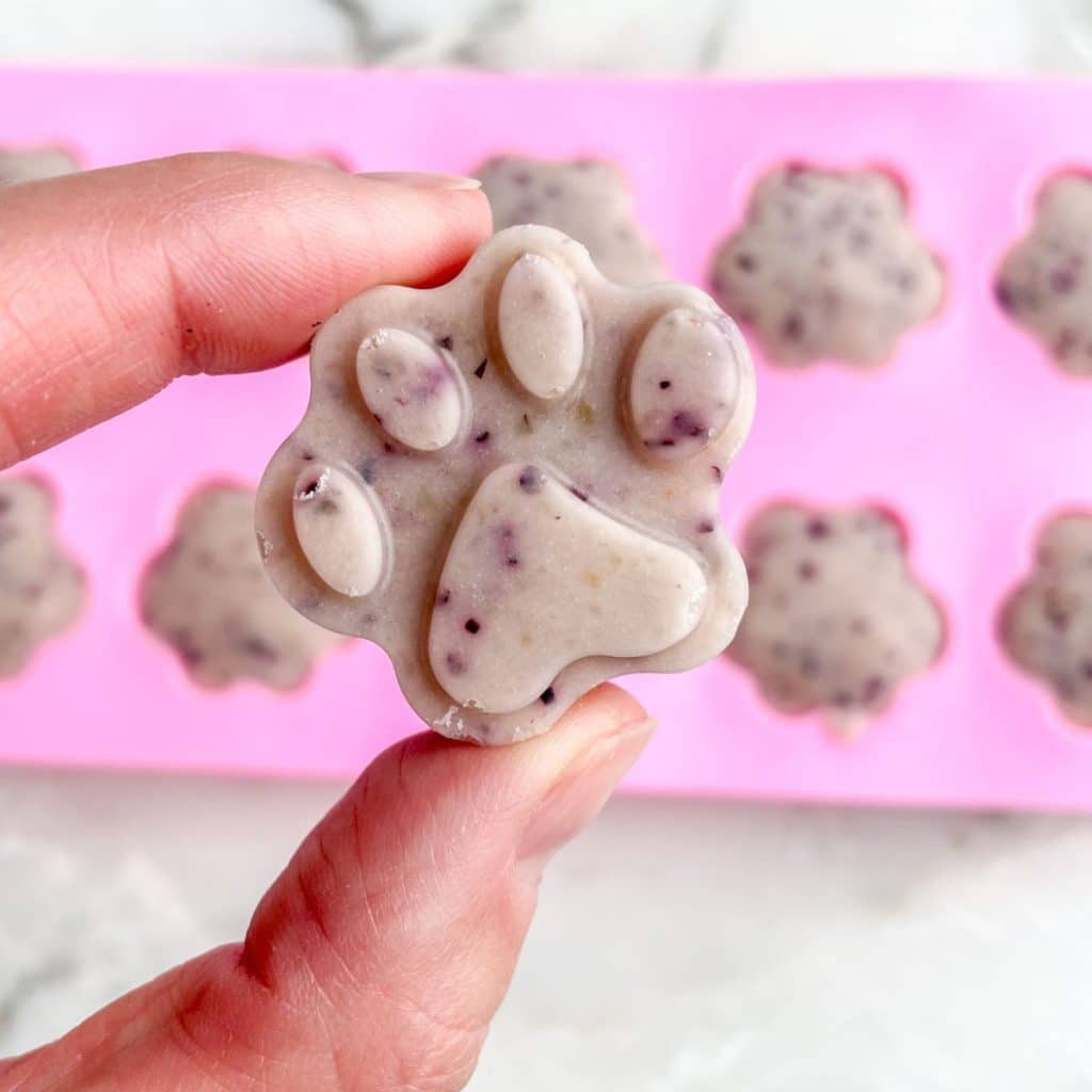 Hand holding frozen dog treat.