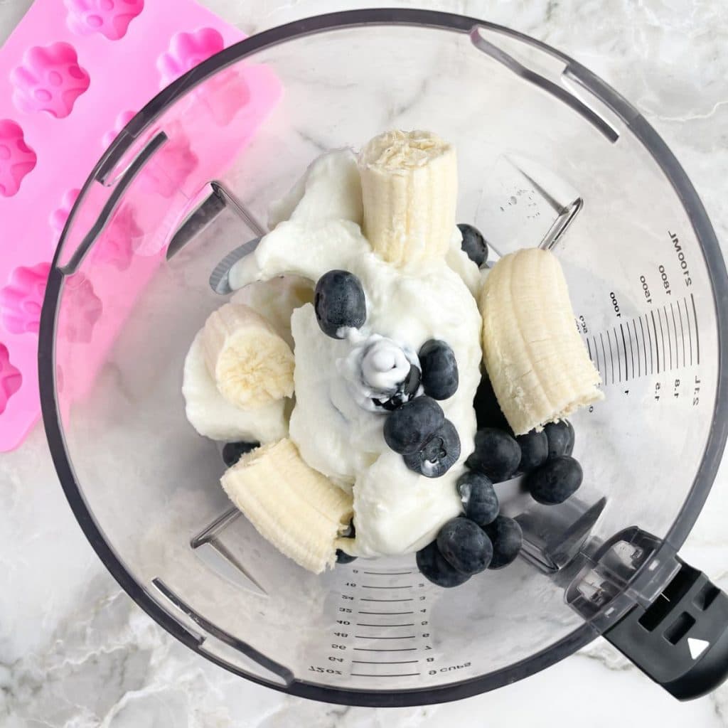 Food processor with banana, blueberry, and yogurt. 