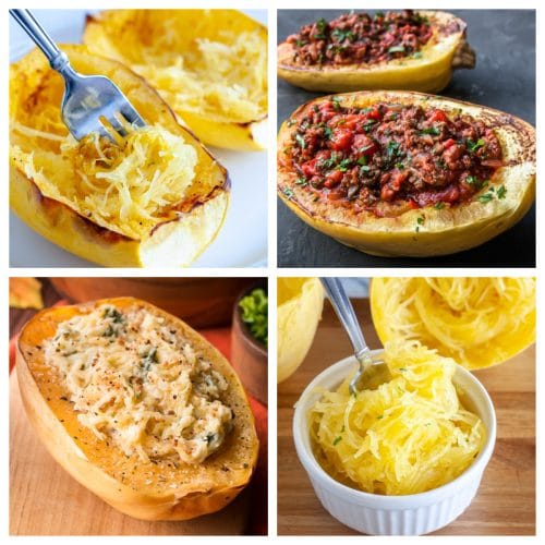 https://www.foodlovinfamily.com/wp-content/uploads/2022/05/spaghetti-squash-recipes-500x500.jpg