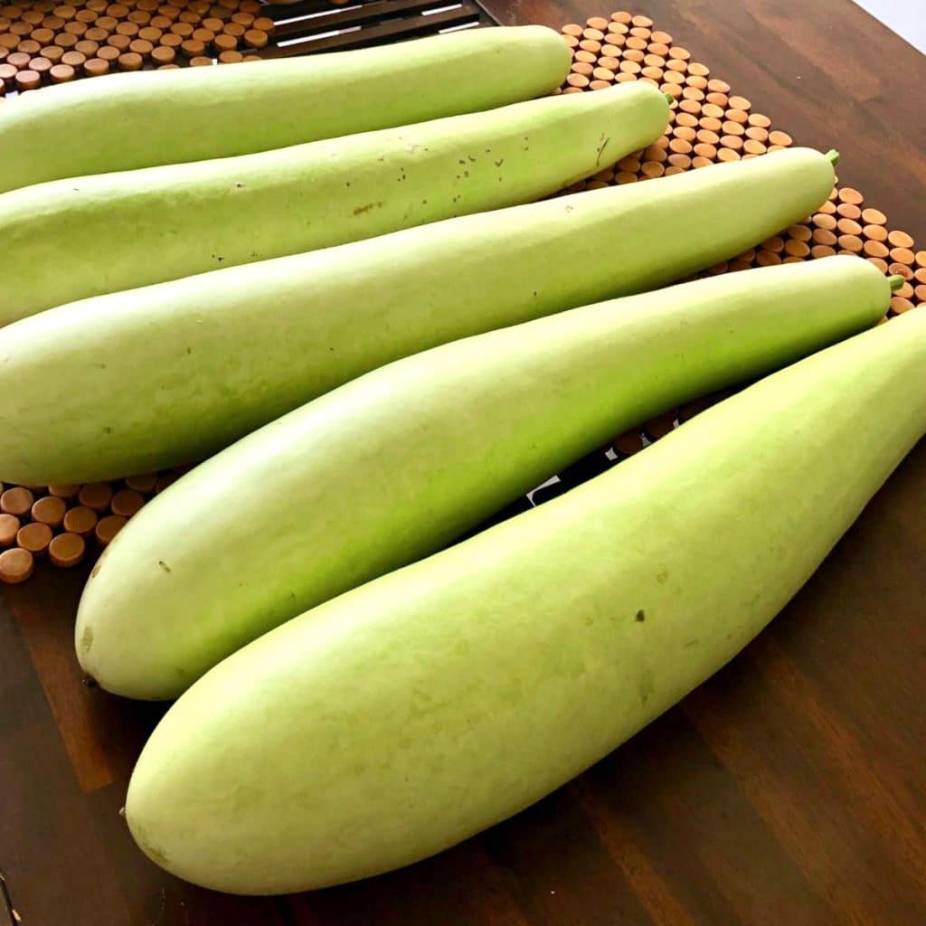 Bottle gourds on a table. 