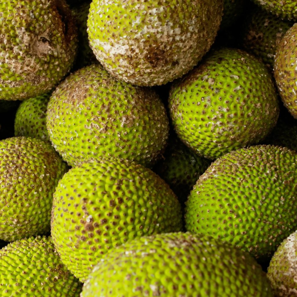 Several breadfruit.