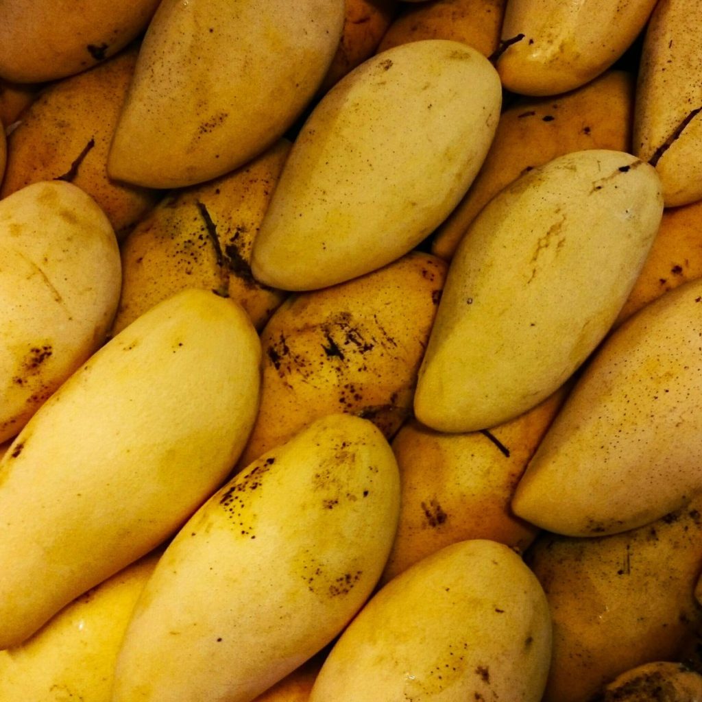 Yellow mangos. 