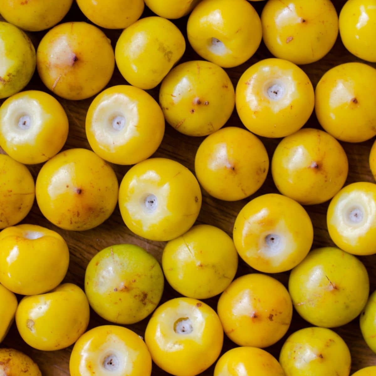 21 Fruit That Starts With N Food Lovin Family