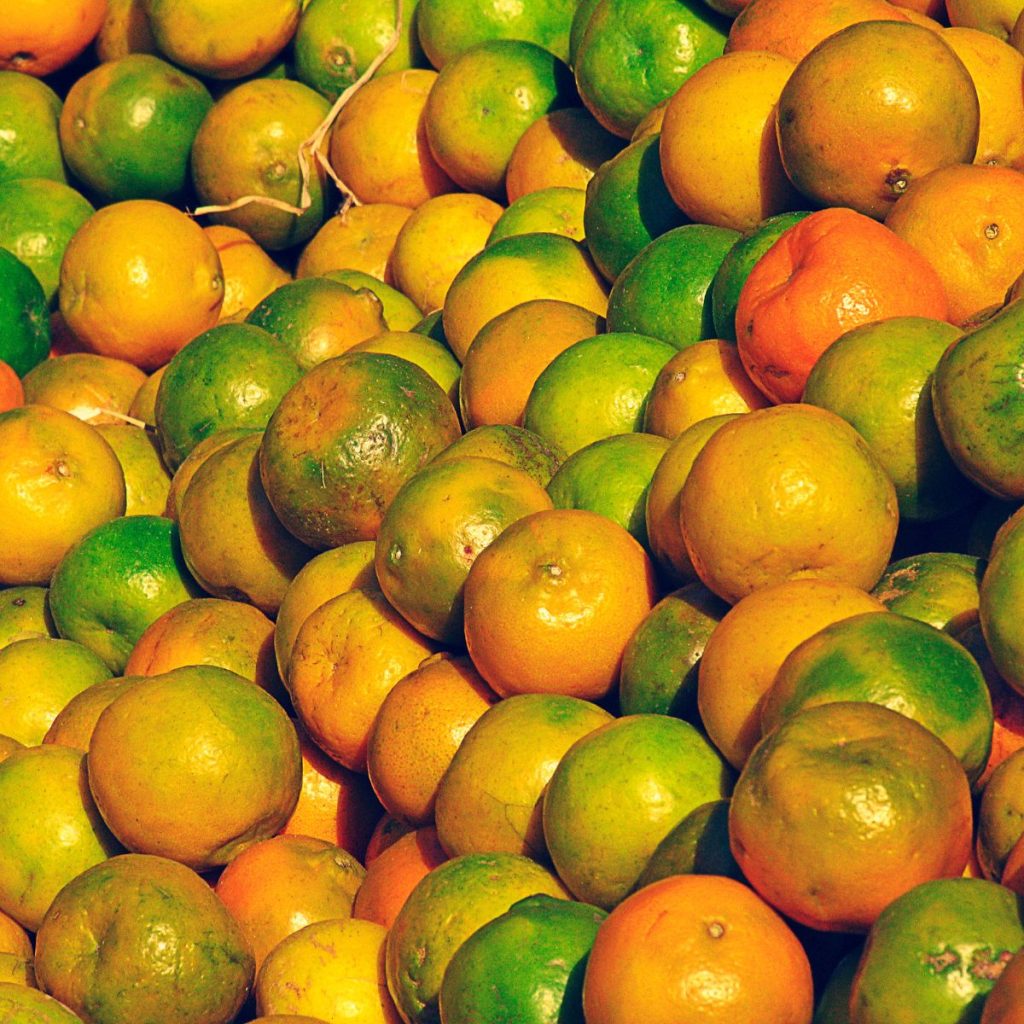 Many oranges. 