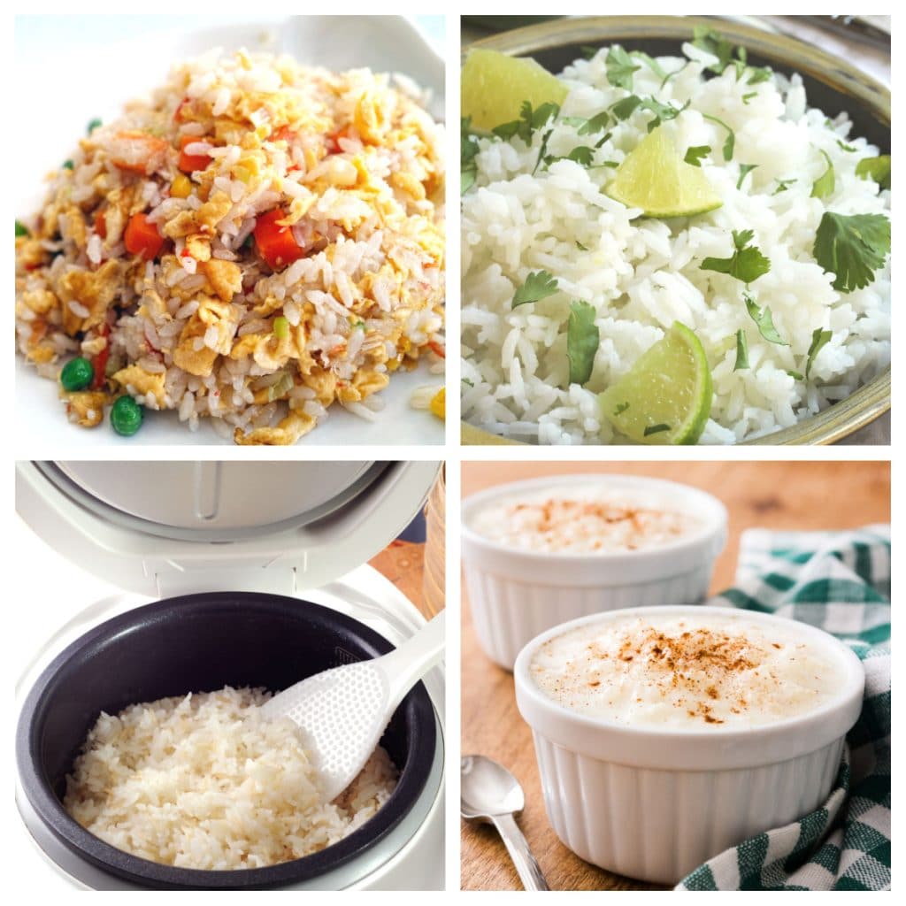 Cilantro rice, fried rice, rice pudding, and rice in a rice cooker. 