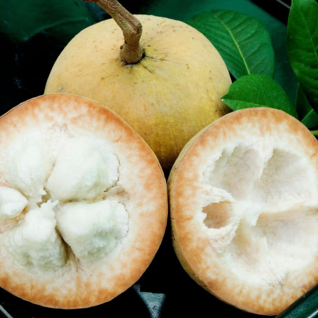 Santol fruit cut open.