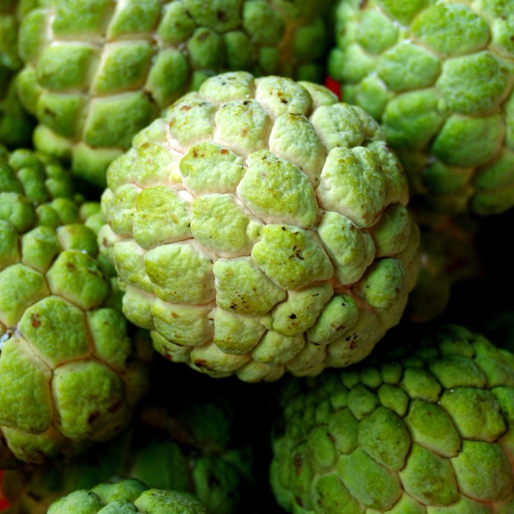 A bunch of green sugar apples. 