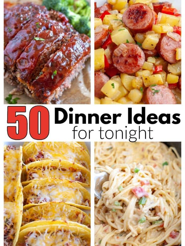 50 Easy Dinner Recipes - Food Lovin Family