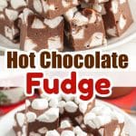 Plate of marshmallow fudge.