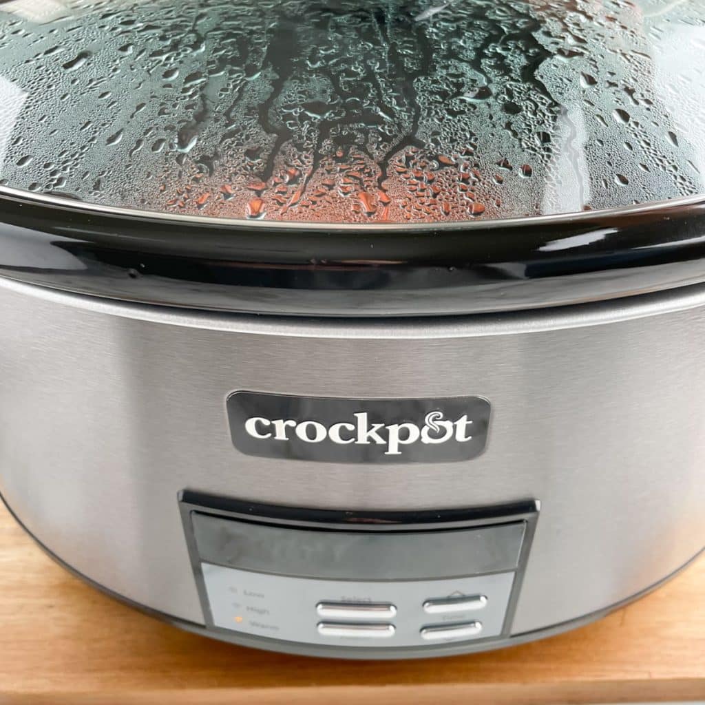 Sliver crockpot. 