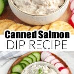 Bowl of salmon dip with sliced cucumber, radish, and crackers.