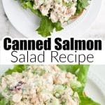 Salmon salad on lettuce.