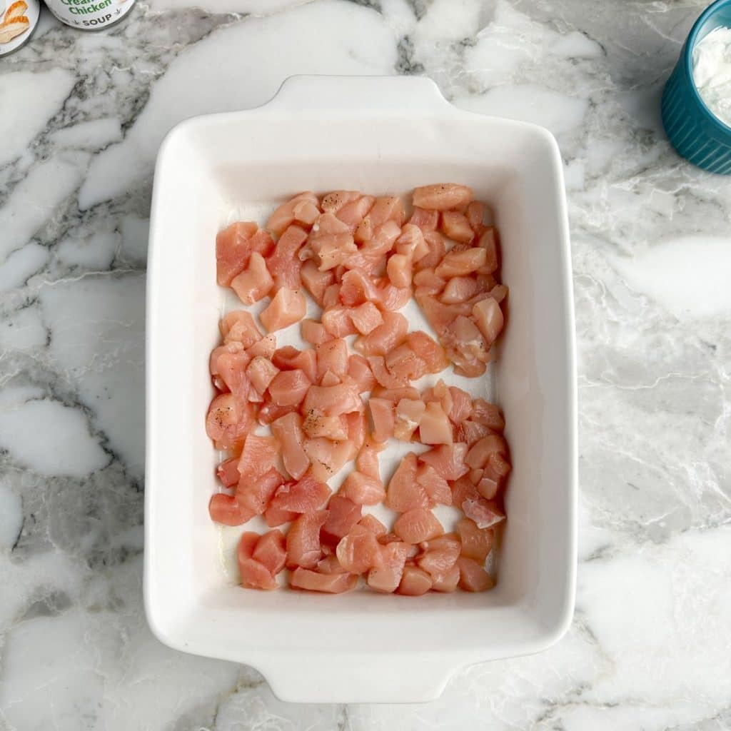 Casserole dish with diced chicken. 