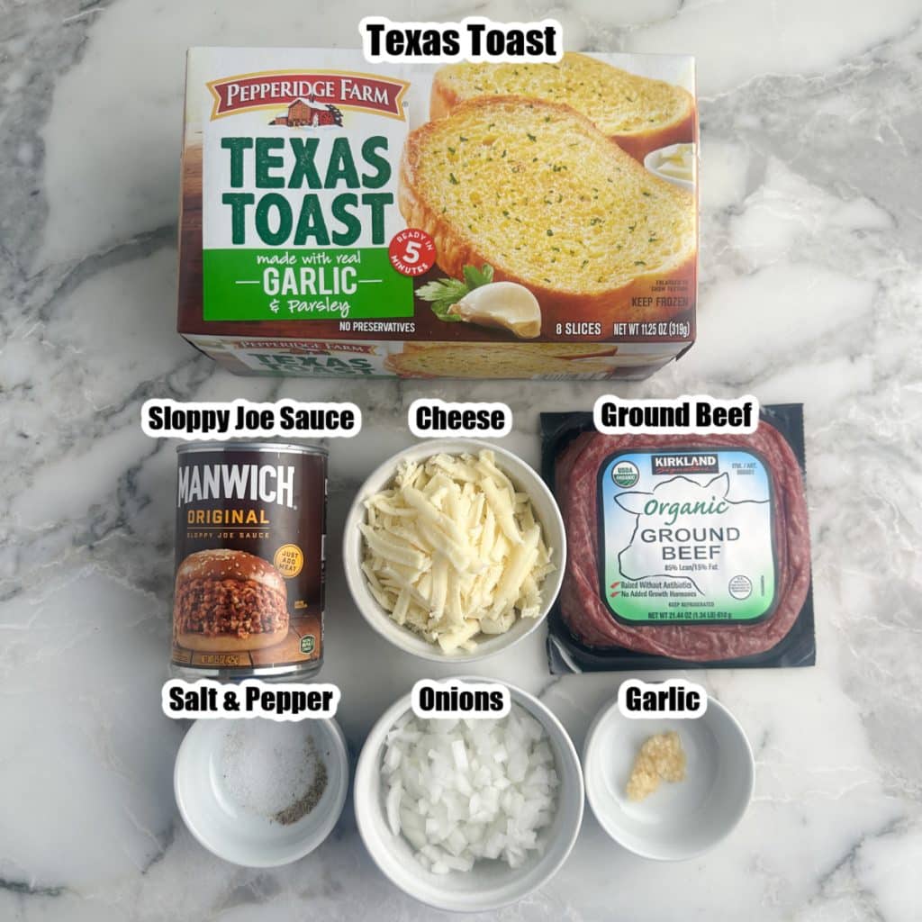 Box of frozen Texas toast, can of sloppy joe sauce, cheese, ground beef, onions. 