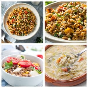 Bowl of risotto salad, risotto soup, and risotto.