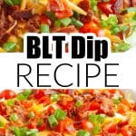 Chip dipping into bacon tomato dip.