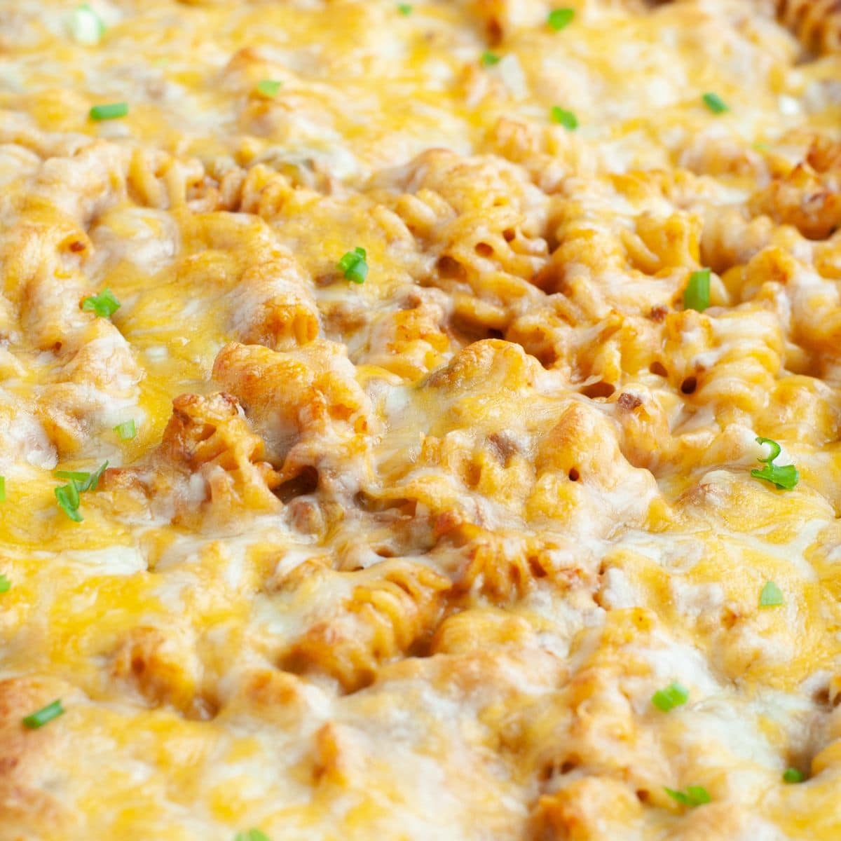 Rotini casserole with cheese. 