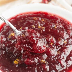 Bowl with a spoon full of cranberry sauce.