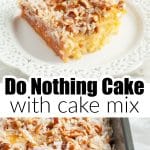 Piece of cake on a plate and in a pan.