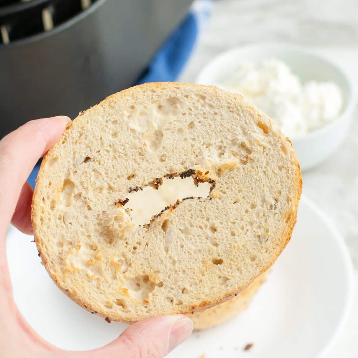 Hand holding a toasted bagel. 