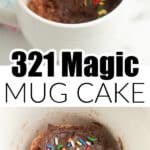 Mug with chocolate cake and frosting.