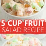 Bowl of 5 cup fruit salad.