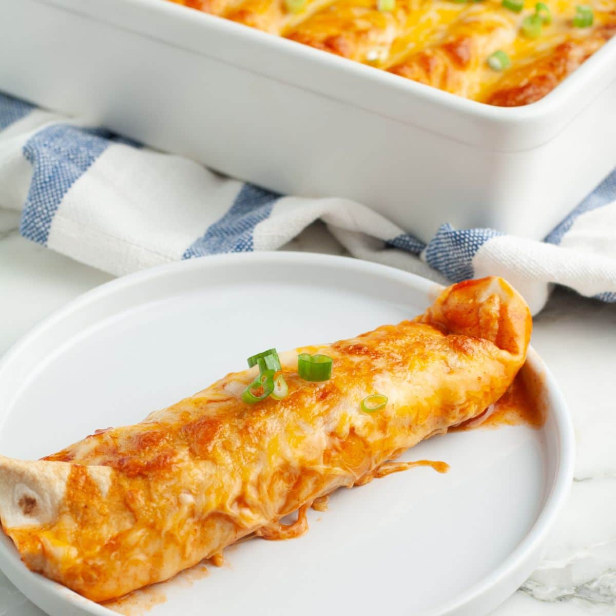 Plate with an enchilada. 