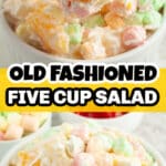 Bowl of five cup salad.