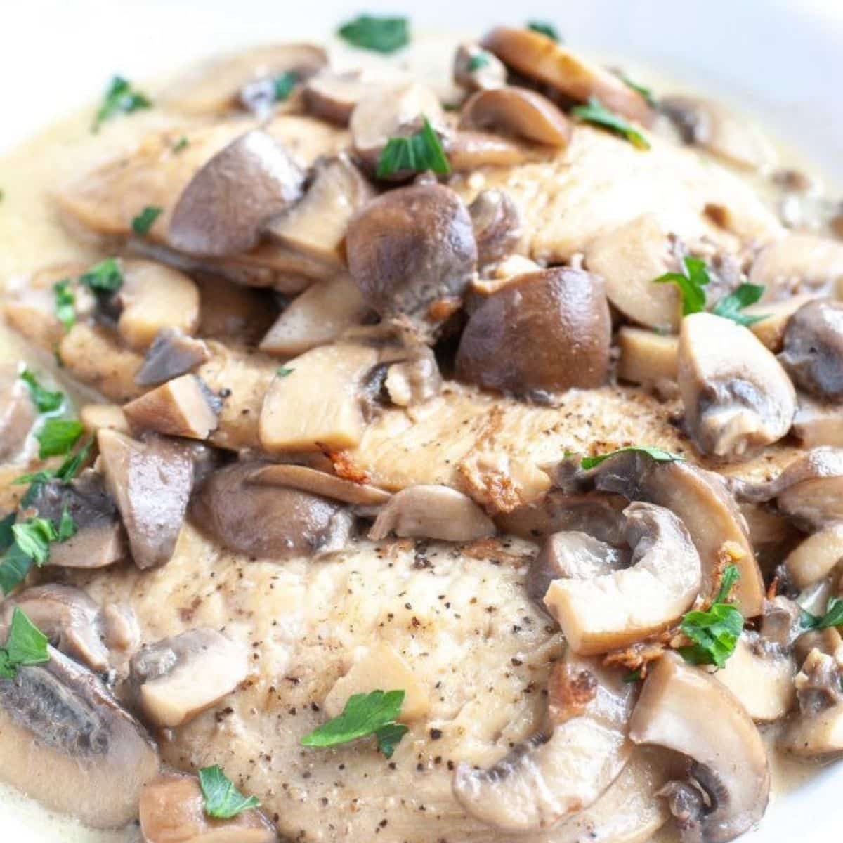 Plate of chicken marsala with mushrooms. 