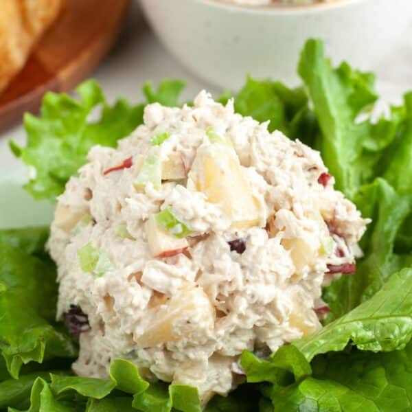 Scoop of chicken salad on a bed of lettuce.