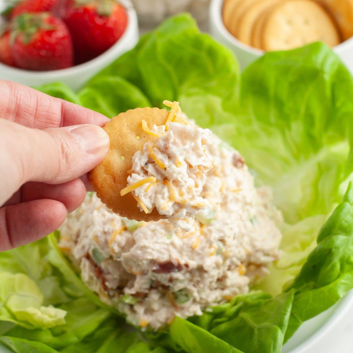 Scoop of chicken salad on a bed of lettuce with a cracker.