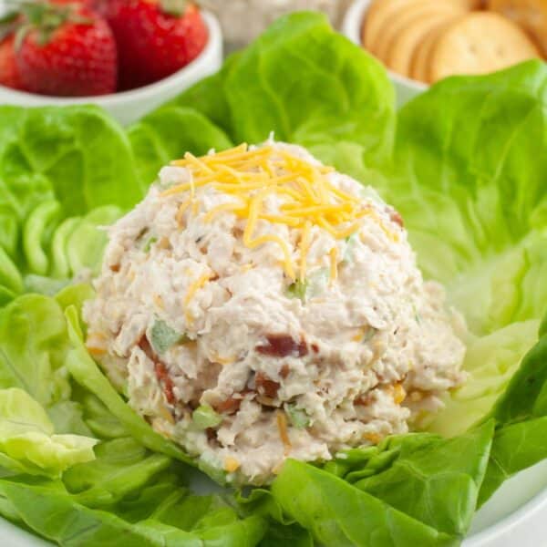 Bed of lettuce with chicken salad on top.