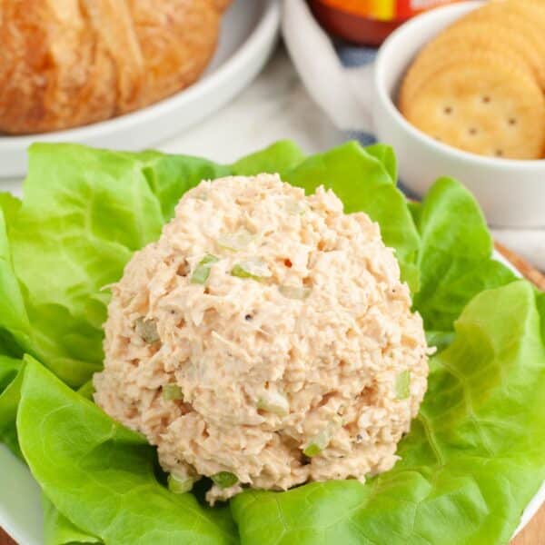 Scoop of chicken salad on a bed of lettuce.