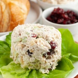 Scoop of chicken salad with cranberries.