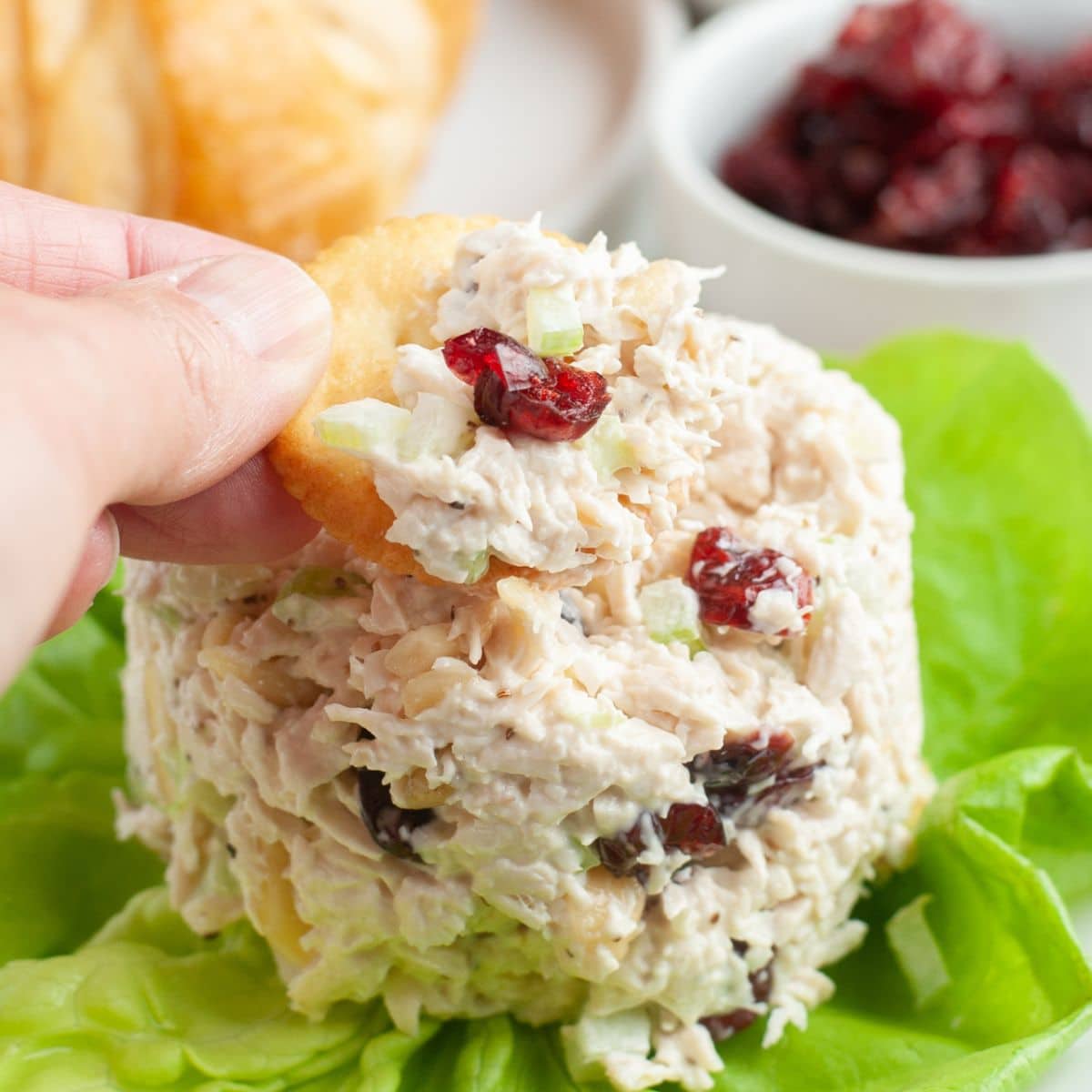Chicken salad with cranberries and a cracker. 