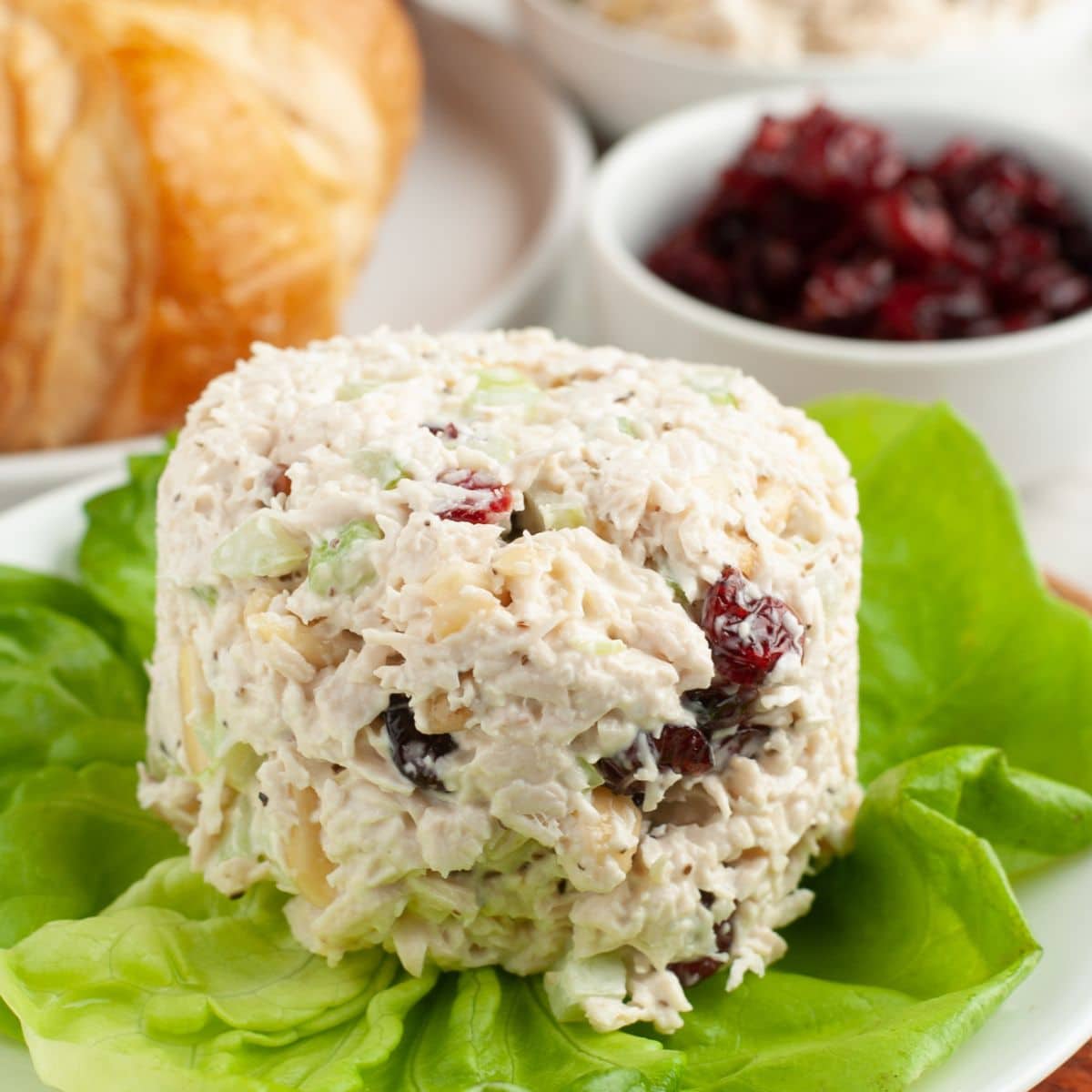 Scoop of chicken salad with cranberries. 