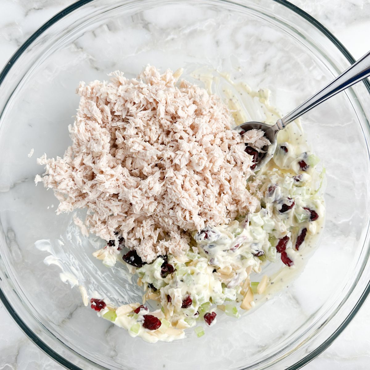 Bowl of shredded chicken, mayonnaise, diced celery, and cranberries.