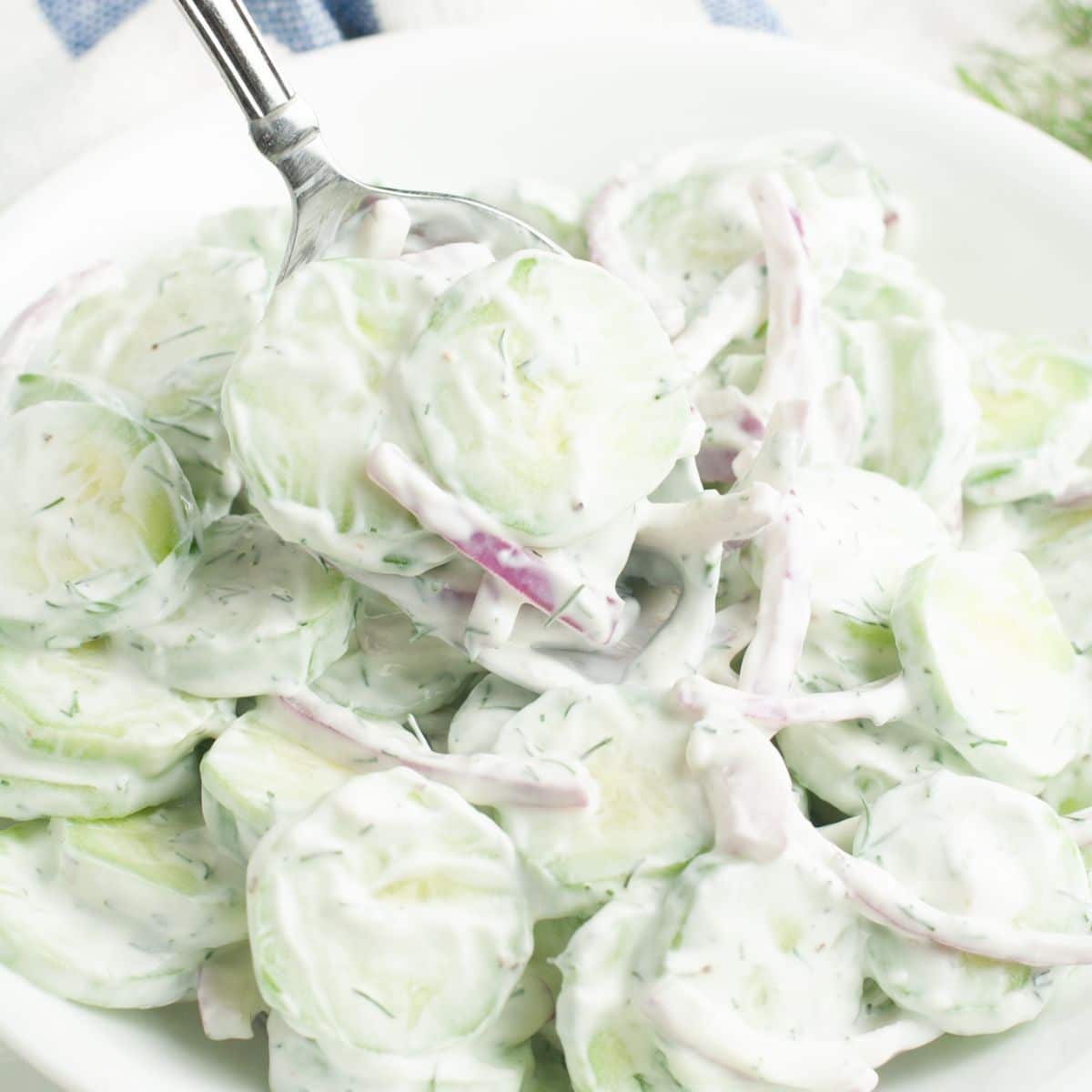 Spoon with cucumber and onion salad. 