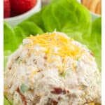 Bed of lettuce with chicken salad.