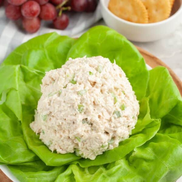 Chicken salad on a bed of lettuce.