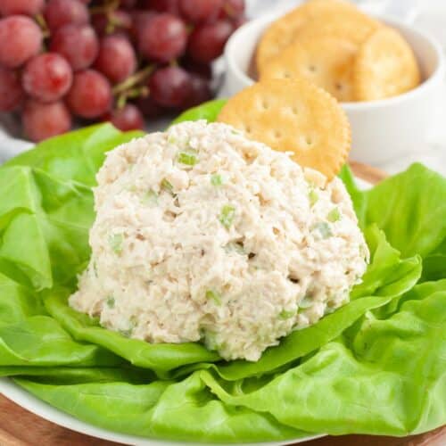 Copycat Classic Carol Chicken Salad Chick Recipe Food Lovin Family