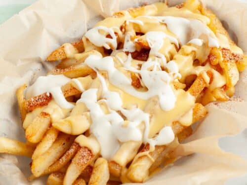 Copycat Wingstop Louisiana Voodoo Fries - Food Lovin Family