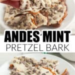 Andes pretzel bark on a plate.