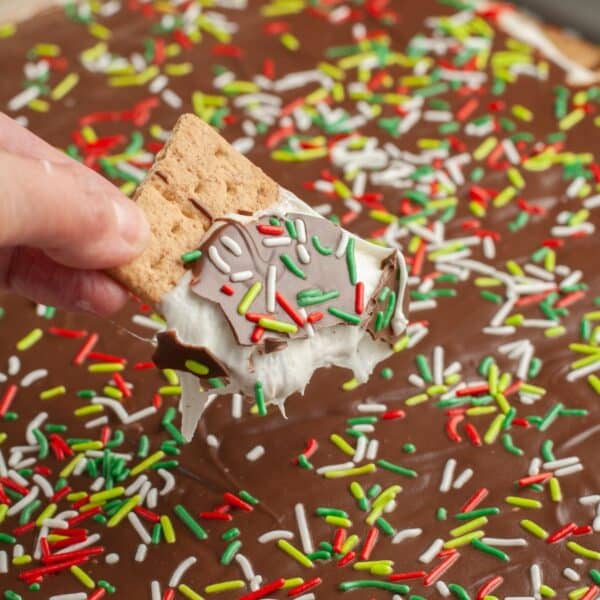 Hand holding graham cracker with melted marshmallow, chocolate, and sprinkles.