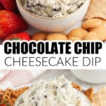 Bowl of chocolate chip cheesecake dip.