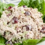 Sonoma chicken salad on a bed of lettuce.
