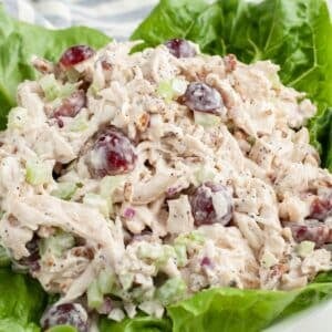 Sonoma chicken salad on a bed of lettuce.