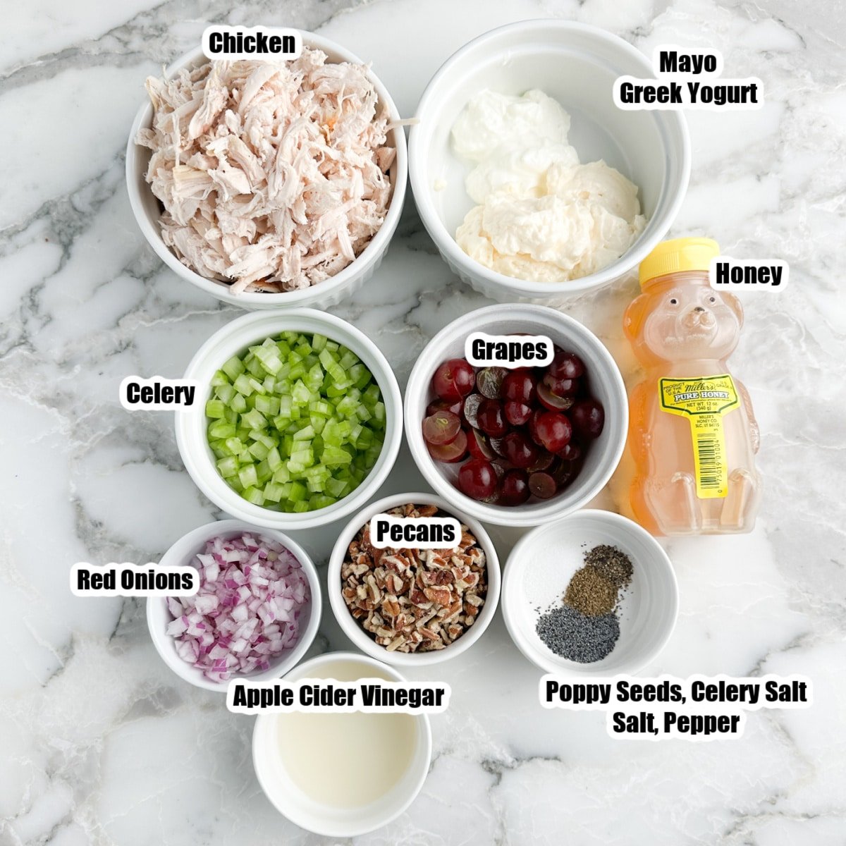 Shredded chicken, bowl of mayo, yogurt, diced celery, red onions, grapes, honey, pecans, vinegar, and seasonings.